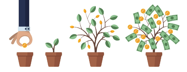 Money Tree